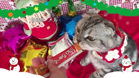 伊纳宝啾噜篇CIAOちゅ～る_Xmas