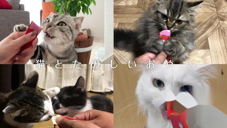 伊纳宝2019年冬募集视频CIAOちゅ～るTVCM