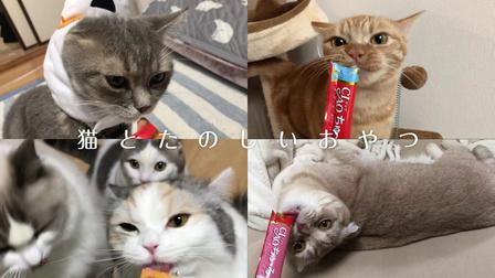 伊纳宝2019年冬募集视频CIAOちゅ～るTVCM