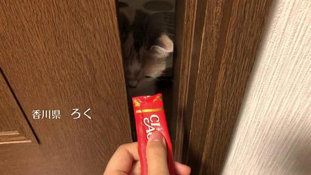 伊纳宝2018年冬募集视频CIAOちゅ～る_C