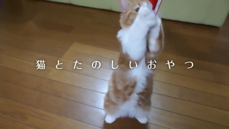2017年募集 啾噜CM 拜拜篇 2017年冬募集ちゅ