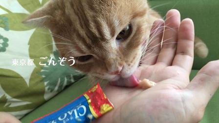 伊纳宝2016年冬募集视频CIAOちゅ～る_B