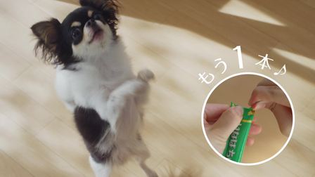 伊纳宝全价成年期犬粮啾噜 再来一只篇い