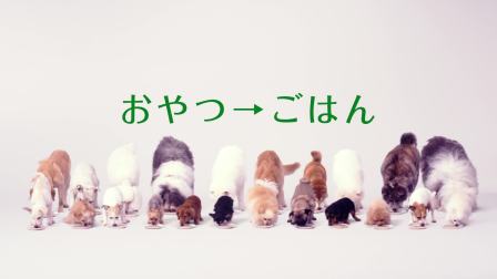 伊纳宝全价成年期犬粮啾噜 主食篇いなば