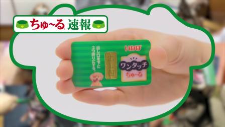 伊纳宝2018年募集旺好啾噜いなばちゅ～る